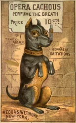 Opera Cachous, Parfüm für den Atem, Requa & Wetmore, NY